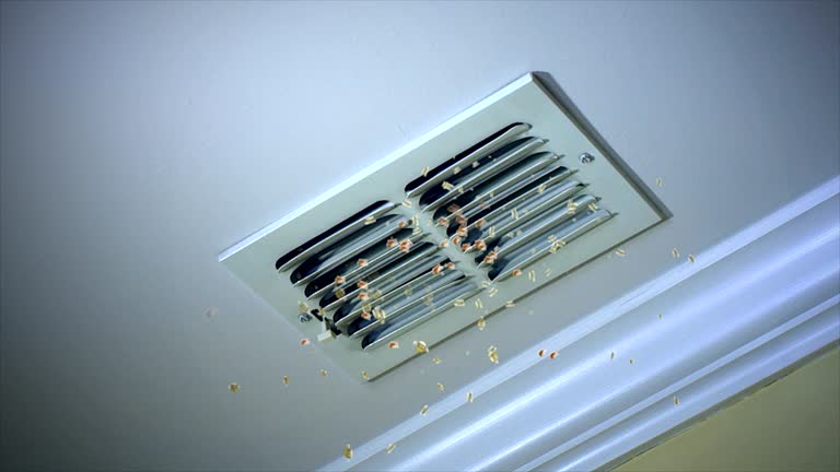 Best Local Air Duct Cleaning Services  in Loch Lomond, VA