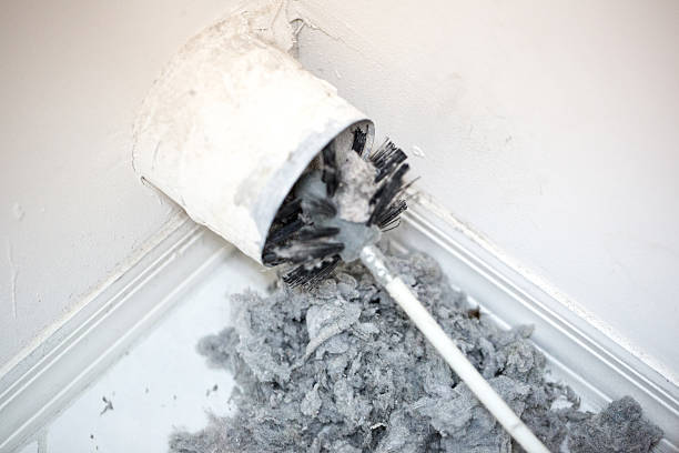 Best Home Air Vent Cleaning  in Loch Lomond, VA